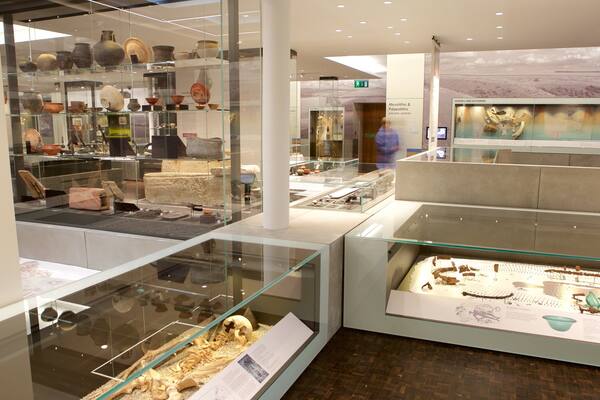 Salisbury and South Wiltshire Museum welches beinhaltet Innenansichten und Geschichtliches