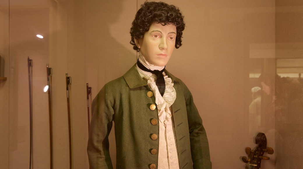 索尔兹伯里和威尔特郡博物馆