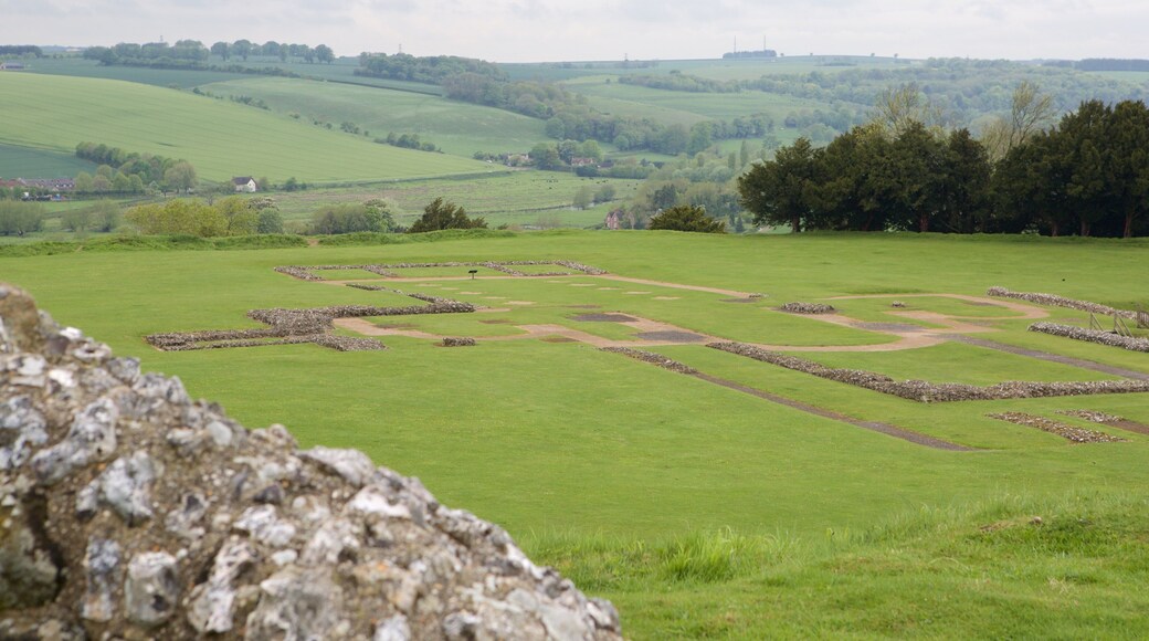 Old Sarum qui includes scĂšnes tranquilles, patrimoine historique et ruine