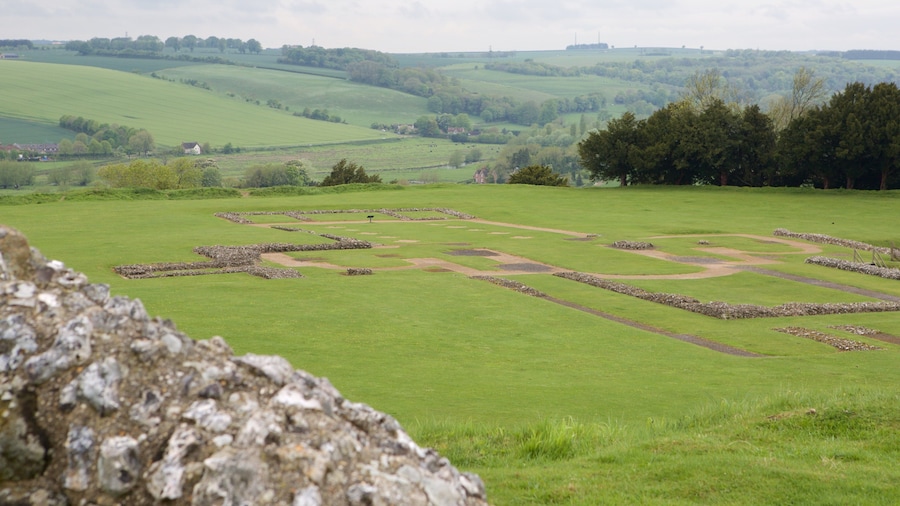 Old Sarum showing tranquil scenes, heritage elements and a ruin