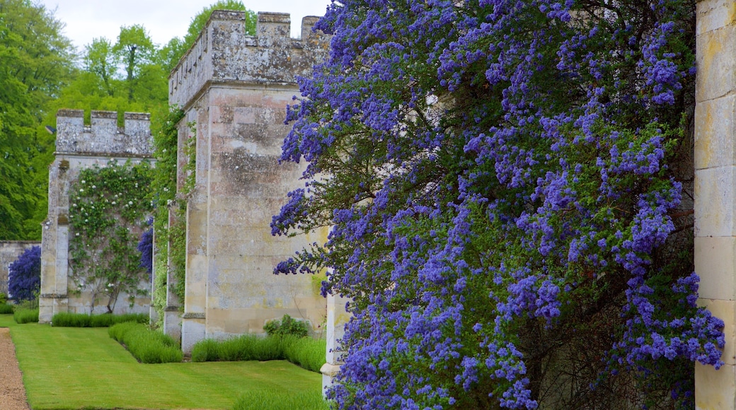 Wilton House showing flowers and heritage architecture