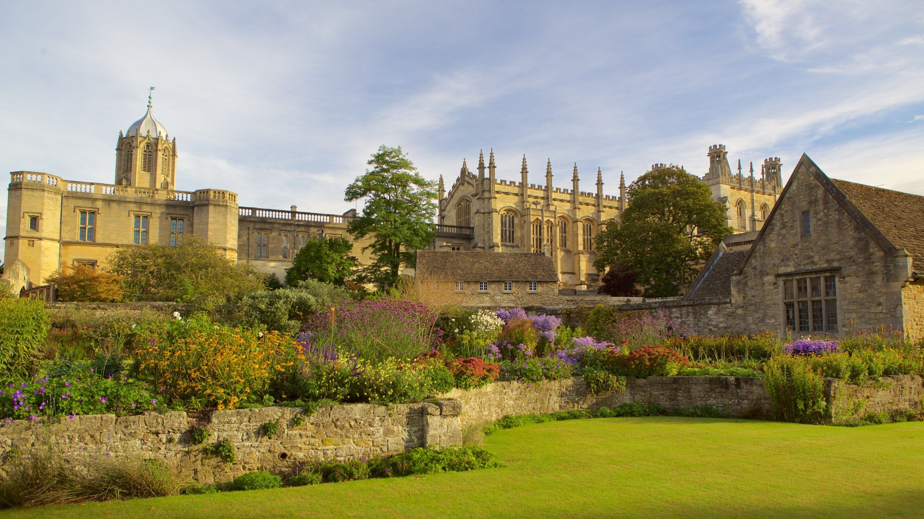 Christ Church Cathedral showing flowers, heritage elements and heritage architecture