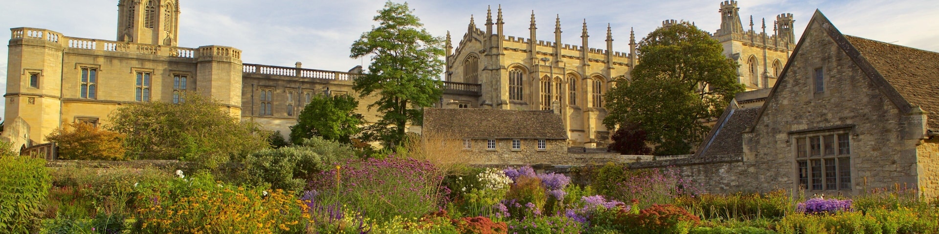 Christ Church Cathedral showing heritage architecture, a garden and heritage elements