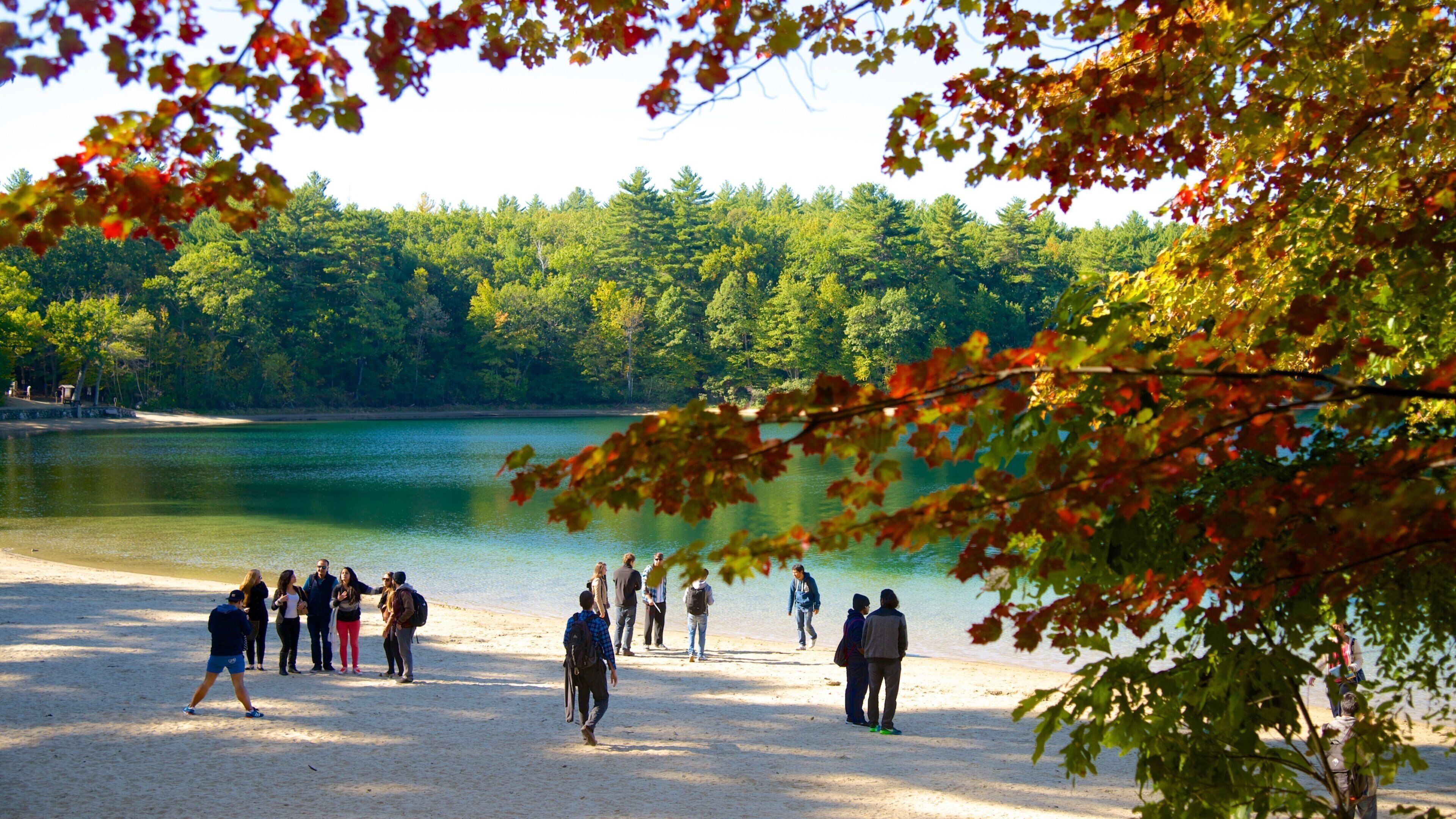 Walden Pond showing a lake or waterhole as well as a small group of people
