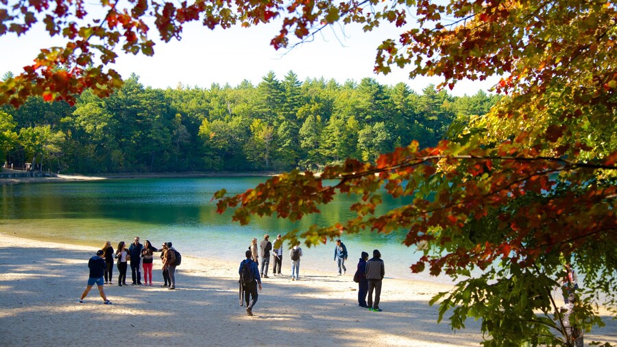 Walden Pond showing a lake or waterhole as well as a small group of people