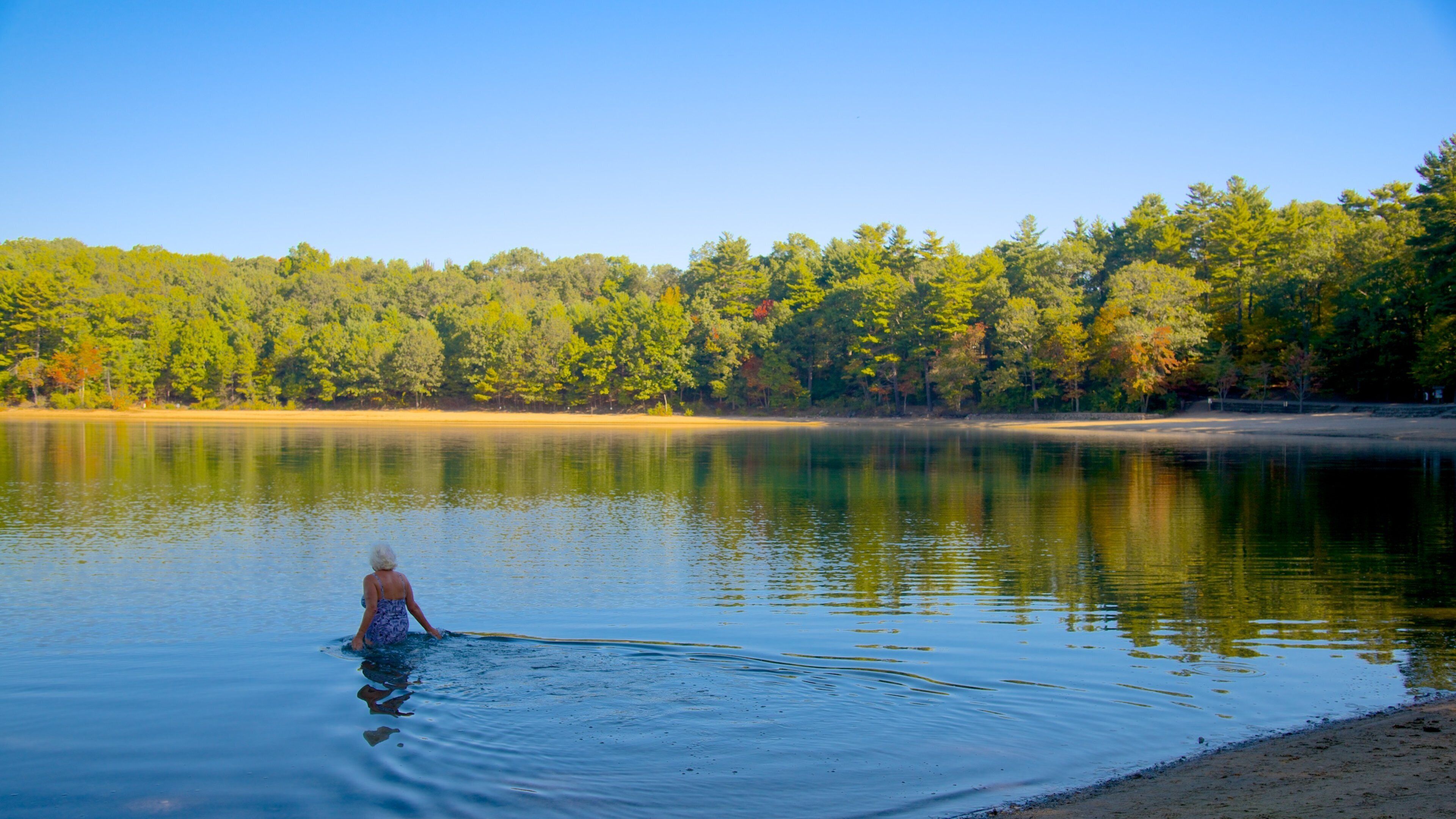 Etang de Walden mettant en vedette panoramas et lac ou étang aussi bien que femme