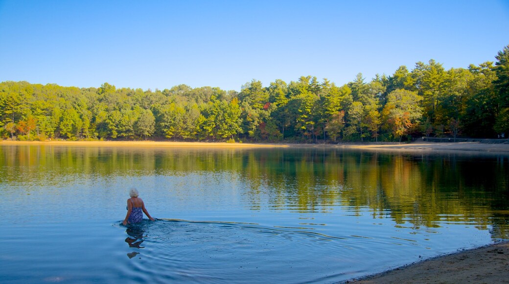 Etang de Walden mettant en vedette panoramas et lac ou étang aussi bien que femme