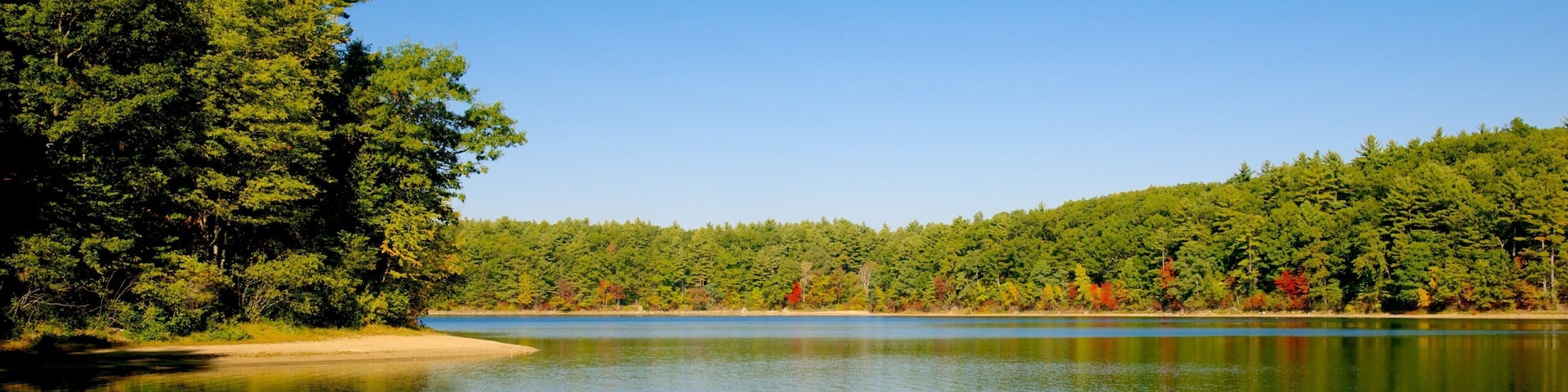 Walden Pond mostrando paisagem e um lago ou charco