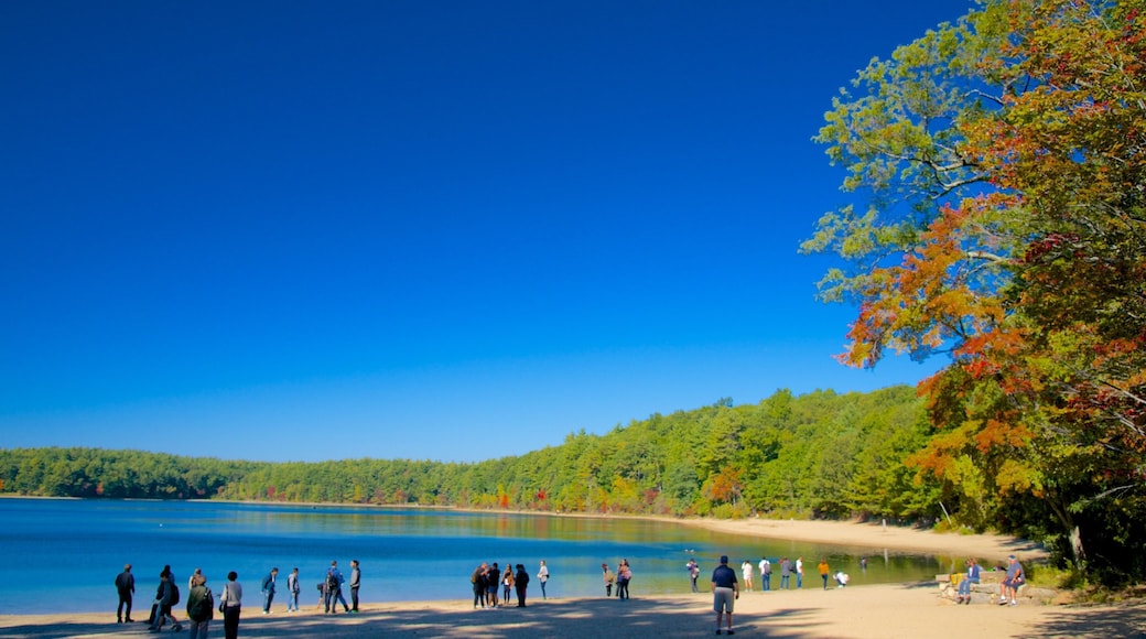 Walden Pond bevat landschappen, een meer of poel en skyline