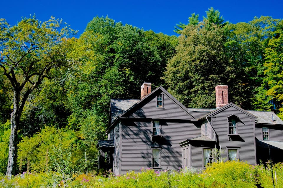 Une maison à deux étages, dotée d’un toit à pignon et de cheminées, entourée d’une forêt dense et de plantes en fleurs.