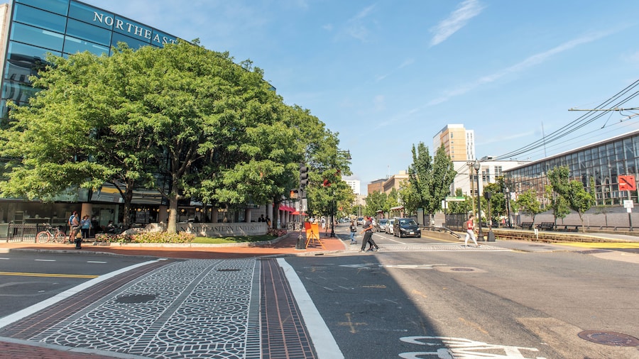 Northeastern University