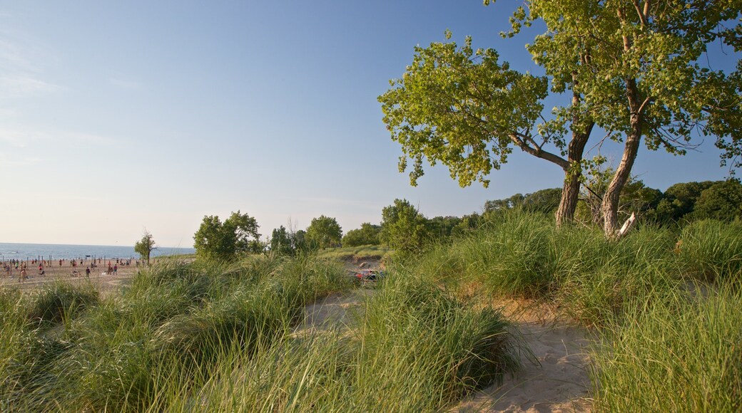 Holland State Park showing general coastal views