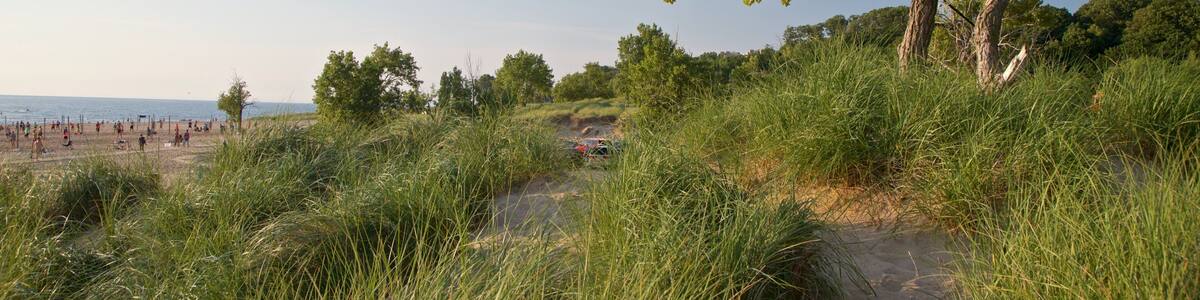 Holland State Park showing general coastal views