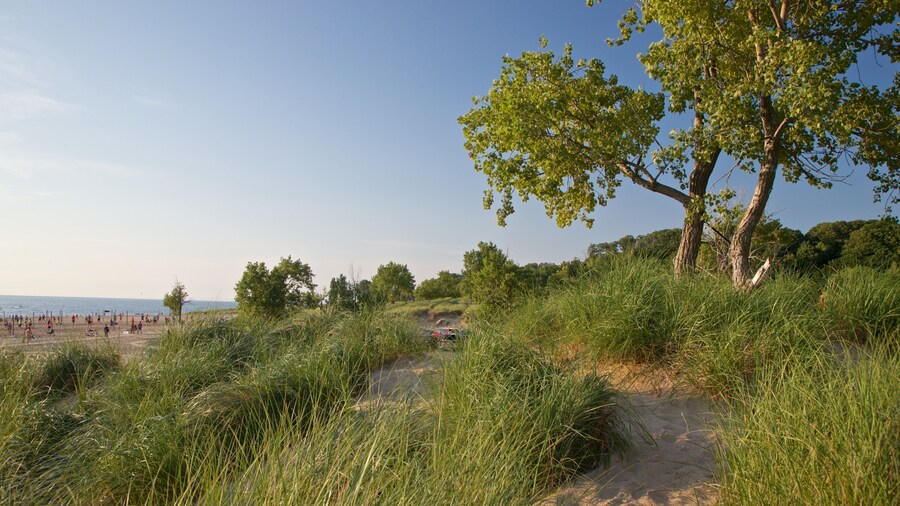 Holland State Park showing general coastal views