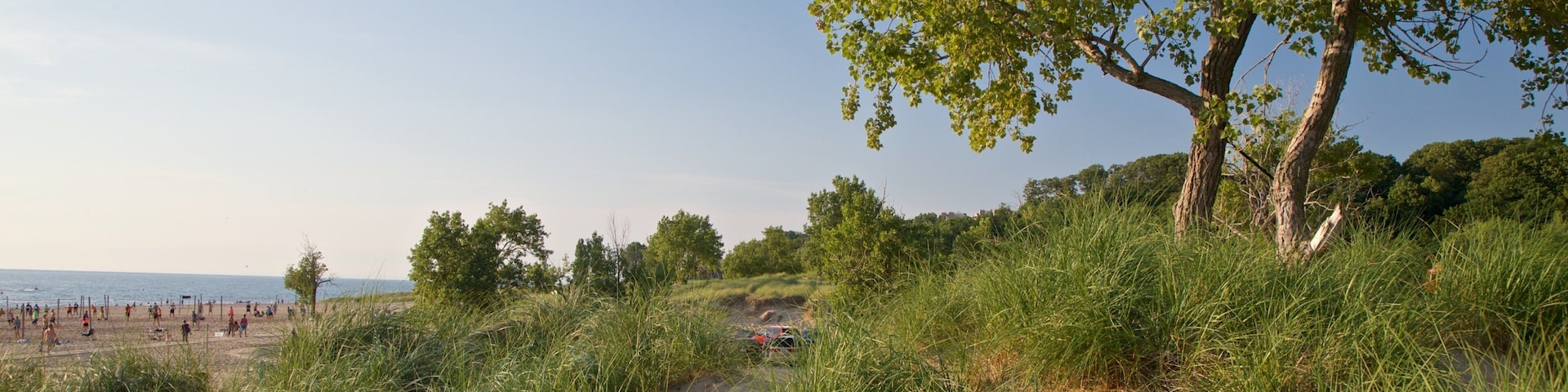 Holland State Park showing general coastal views