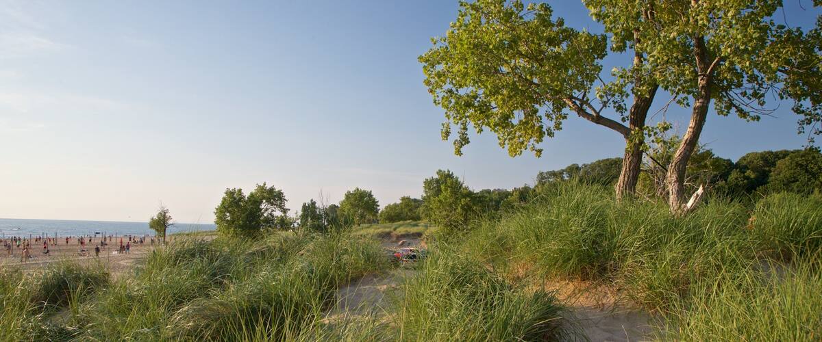 Holland State Park showing general coastal views