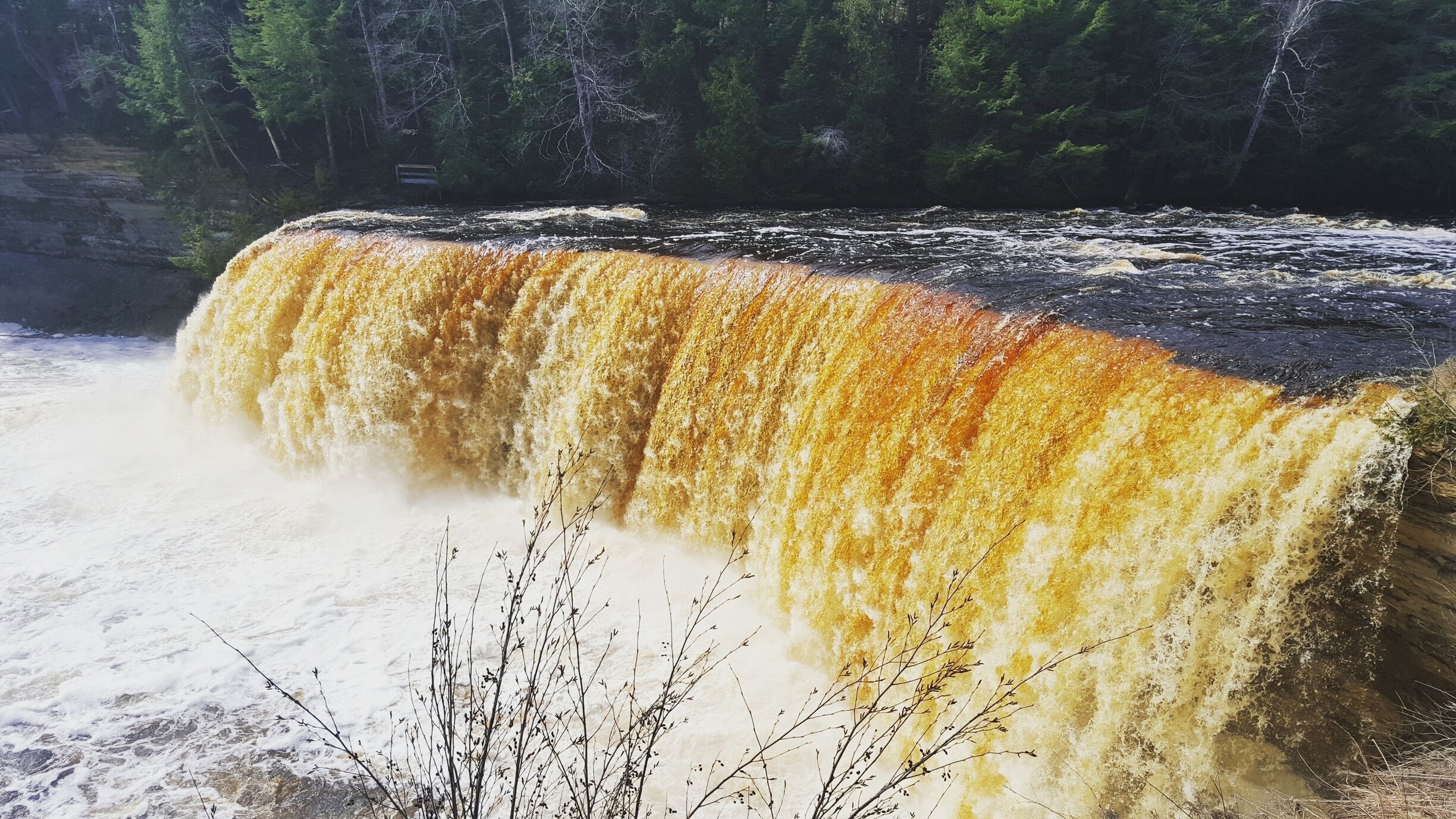 Acid from cedar trees is what turns this beautiful waterfall yellow! Love upper and lower falls at Tahquamenon! 
#waterfalls #michigan #adventure