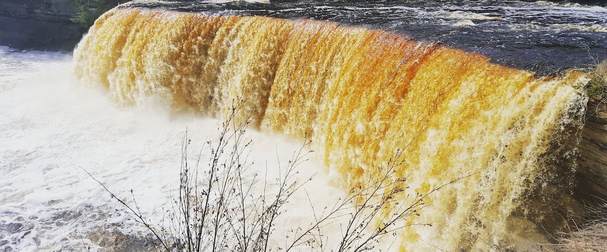Acid from cedar trees is what turns this beautiful waterfall yellow! Love upper and lower falls at Tahquamenon! 
#waterfalls #michigan #adventure