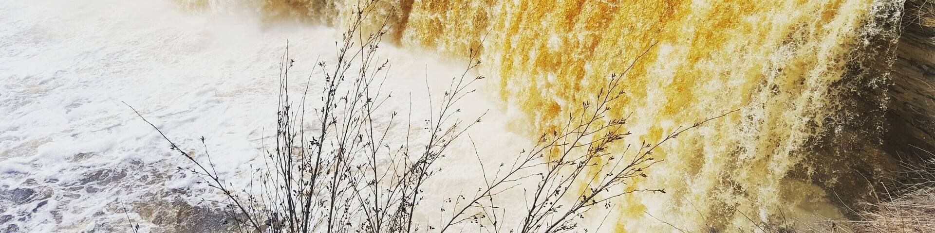 Acid from cedar trees is what turns this beautiful waterfall yellow! Love upper and lower falls at Tahquamenon!
#waterfalls #michigan #adventure
