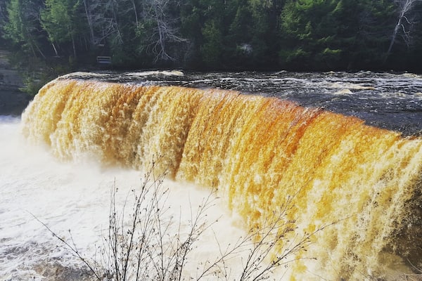 Acid from cedar trees is what turns this beautiful waterfall yellow! Love upper and lower falls at Tahquamenon!
#waterfalls #michigan #adventure