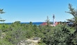 A lighthouse, dense green trees, and a clear blue sky.