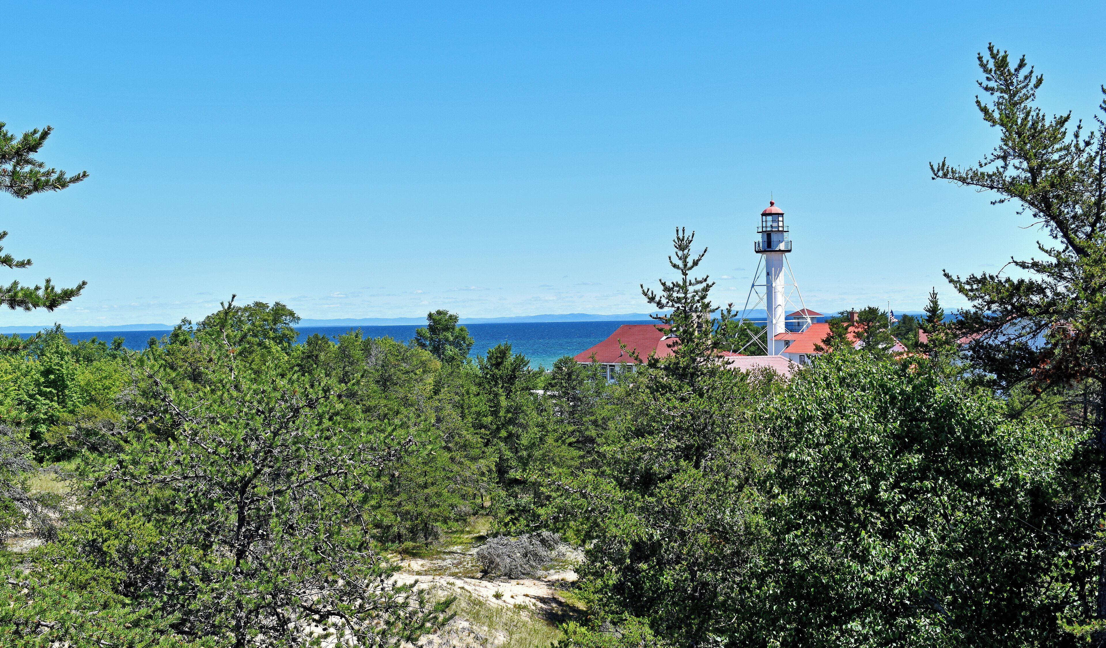 A lighthouse, dense green trees, and a clear blue sky.