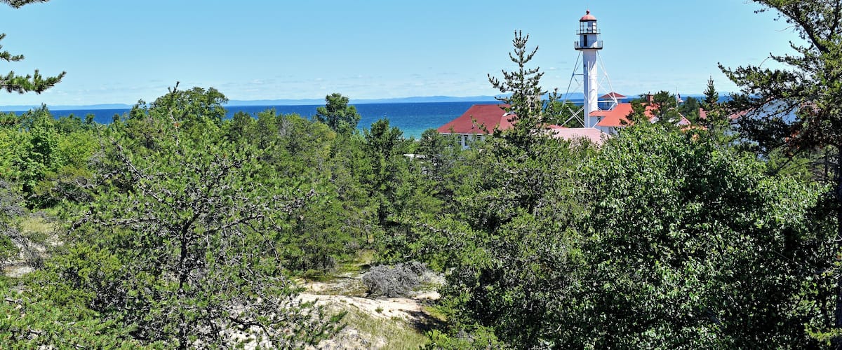 A lighthouse, dense green trees, and a clear blue sky.