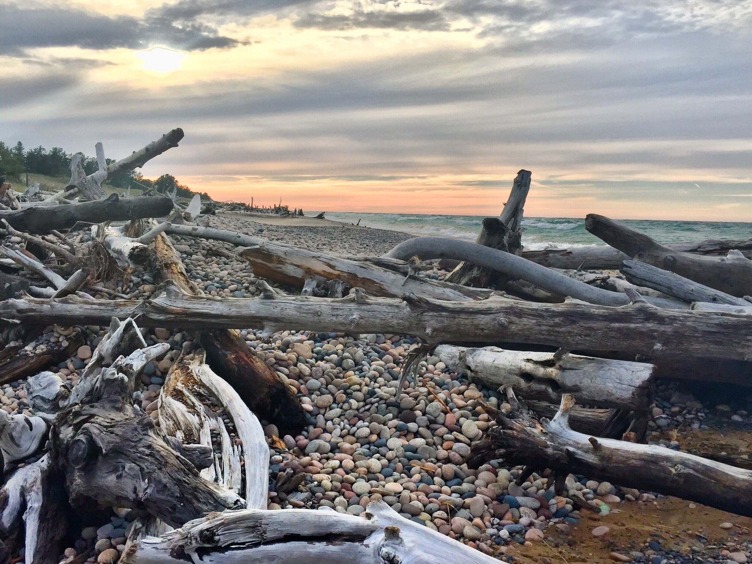Driftwood at Lake Superior. #GreatOutdoors