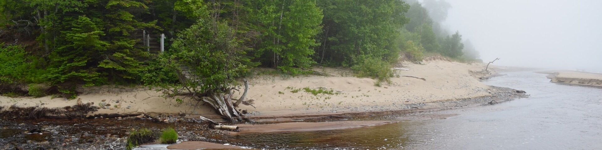 Feeder stream on Lake Superior with a heavy fog rolling in. I think the orangish-brown water color is due to iron in the stream. #green #AquaTrove