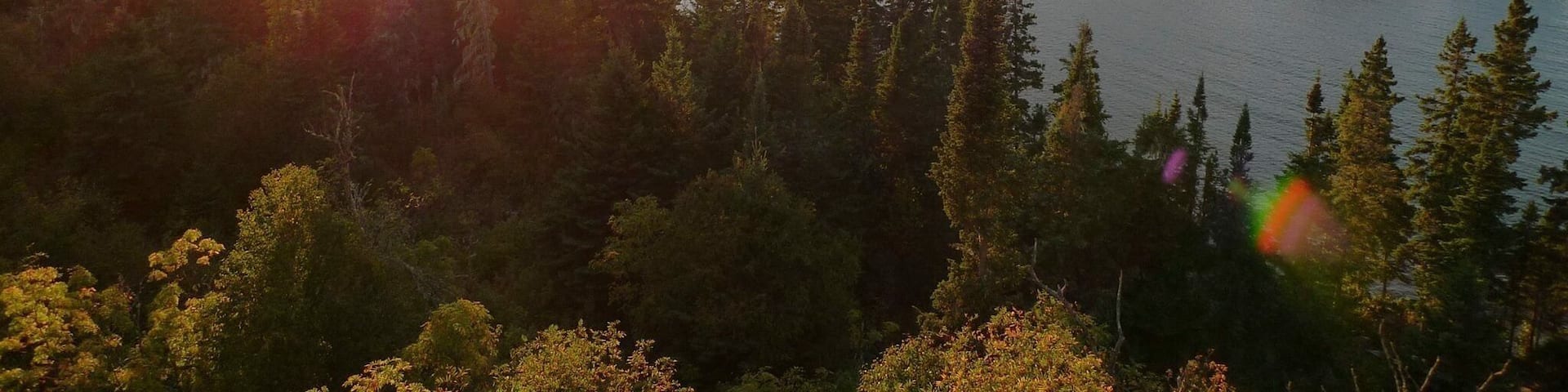 This was taken on Isle Royal on my adventure on Mt. Ojibway.