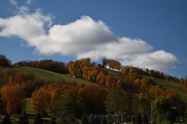 In my much younger and foolish days, I would downhill ski at Caberfae (Cadillac, MI) and Snow Snake (Harrison, MI).