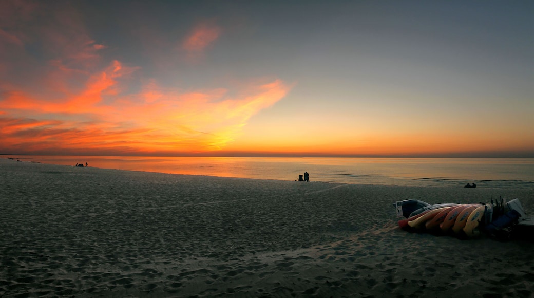 Warren Dunes State Park