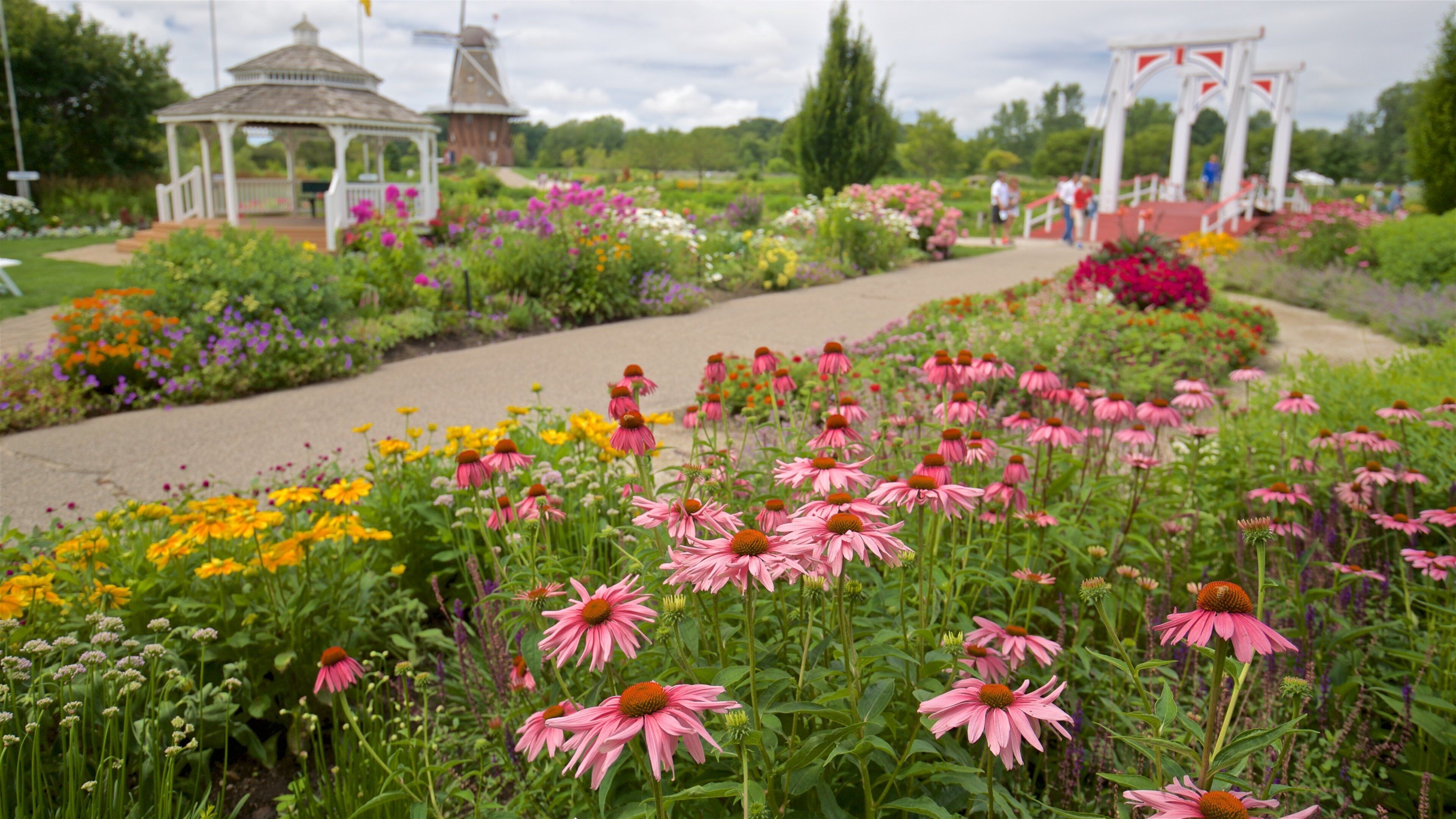 Windmill Island which includes wild flowers, flowers and a garden