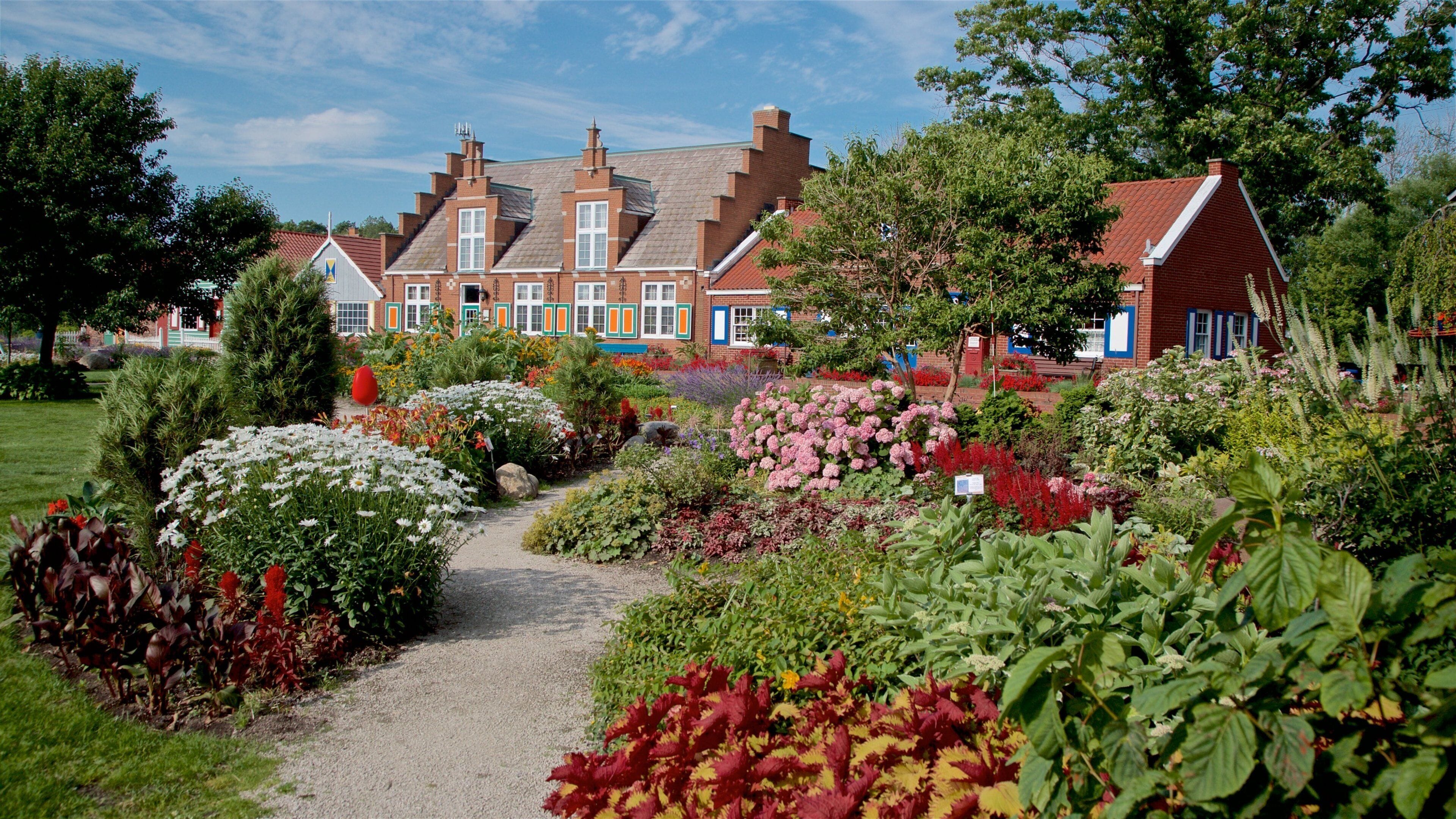 Windmill Island montrant fleurs sauvages et jardin