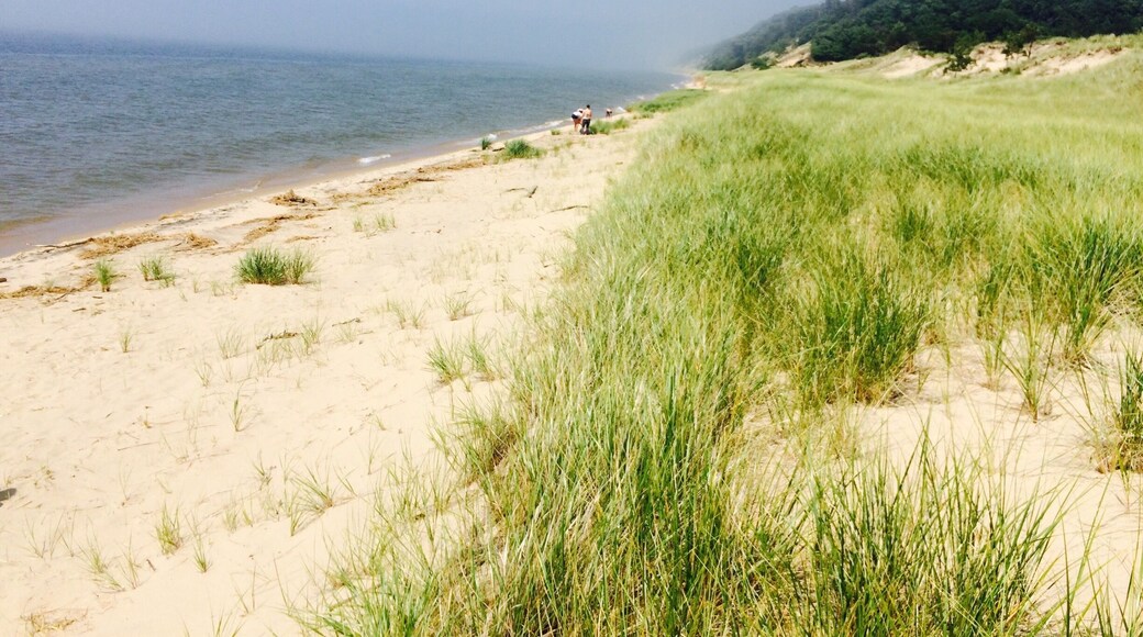 Walked until we saw Lake Michigan