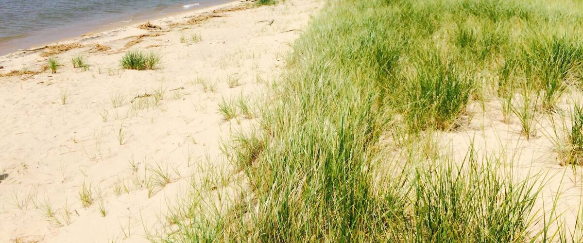 Walked until we saw Lake Michigan