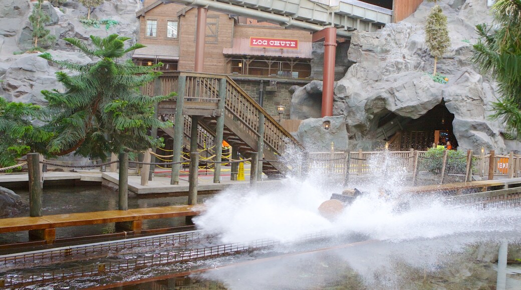 尼克宇宙雲霄飛車 呈现出 水上樂園, 遊樂設施 和 薄霧或有霧氣