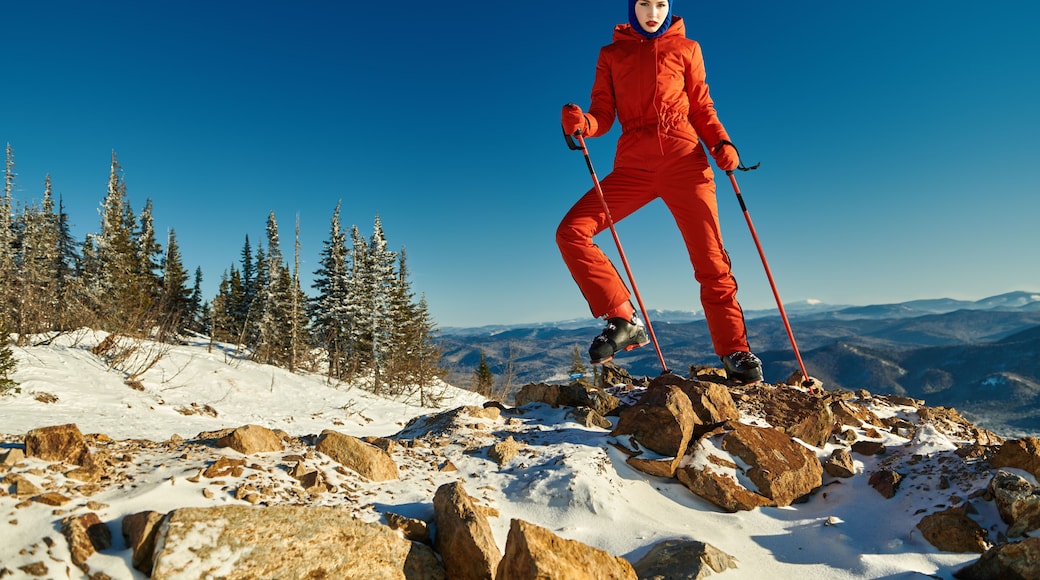 the spirit of freedom