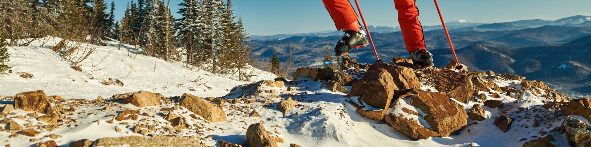 the spirit of freedom