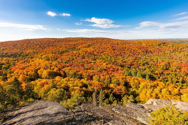 Vibrant autumn forest viewed from rocky mountain cliff