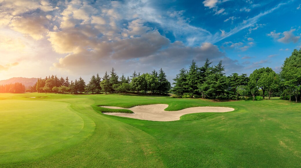 Green grass and woods on a golf field