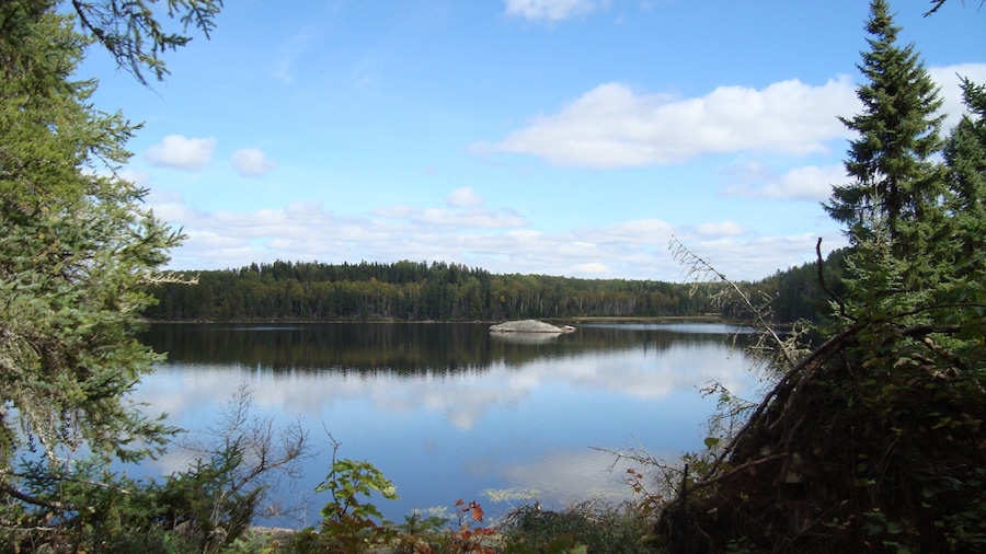Voyageurs National Park mit einem See oder Wasserstelle und Sumpfgebiet