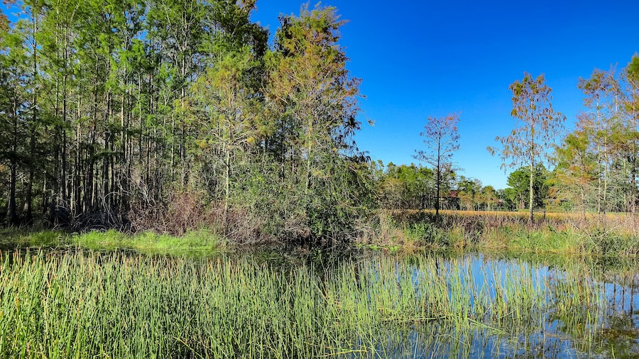 The Refuge (parcours de golf)