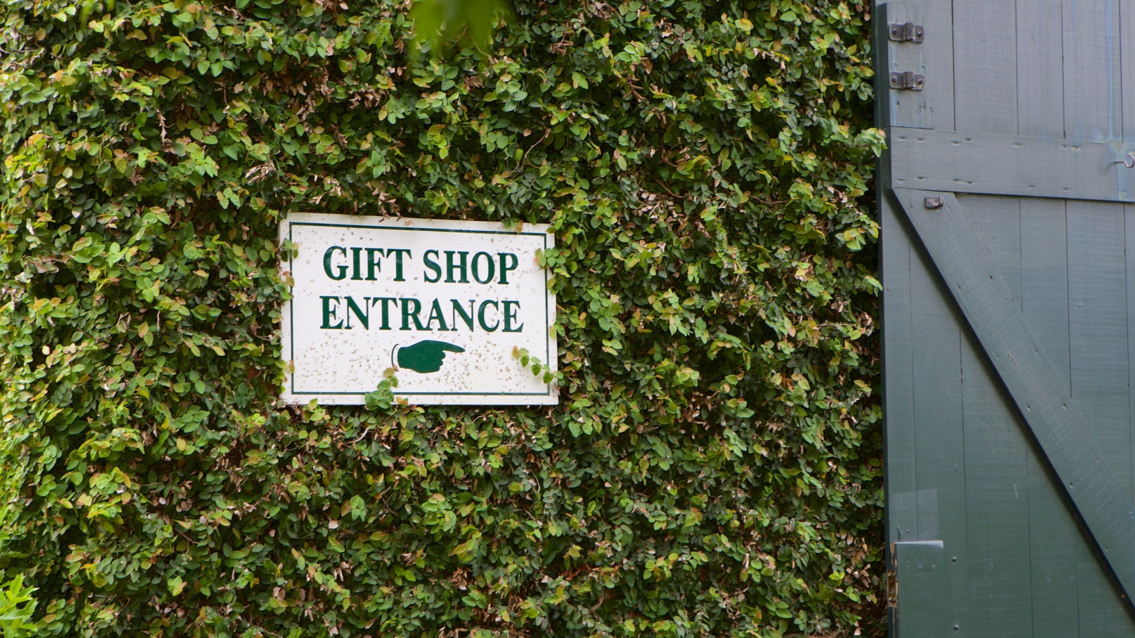 Rosalie Mansion which includes signage