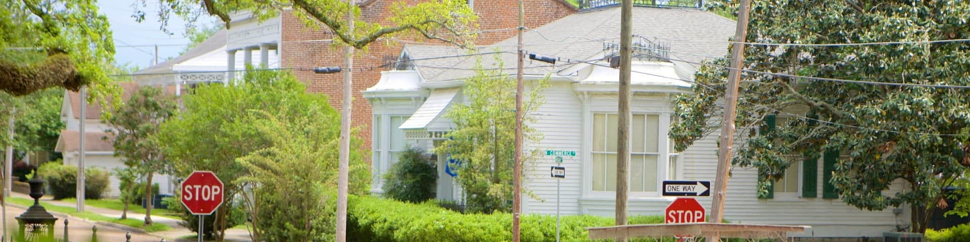 A horse-drawn carriage on a street with a stop sign and a one-way sign.
