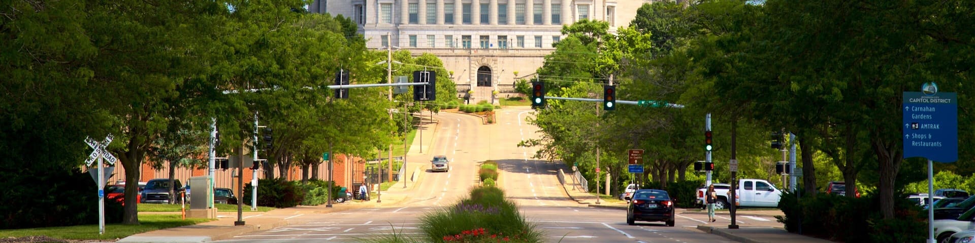 A large government building with a dome, surrounded by trees and a clear blue sky.
