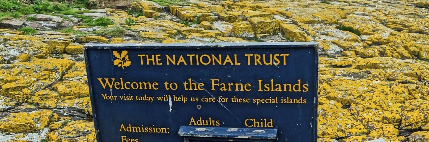 A boat trip from Seahouses onto the Farne islands is a must to see the many nesting birds.
