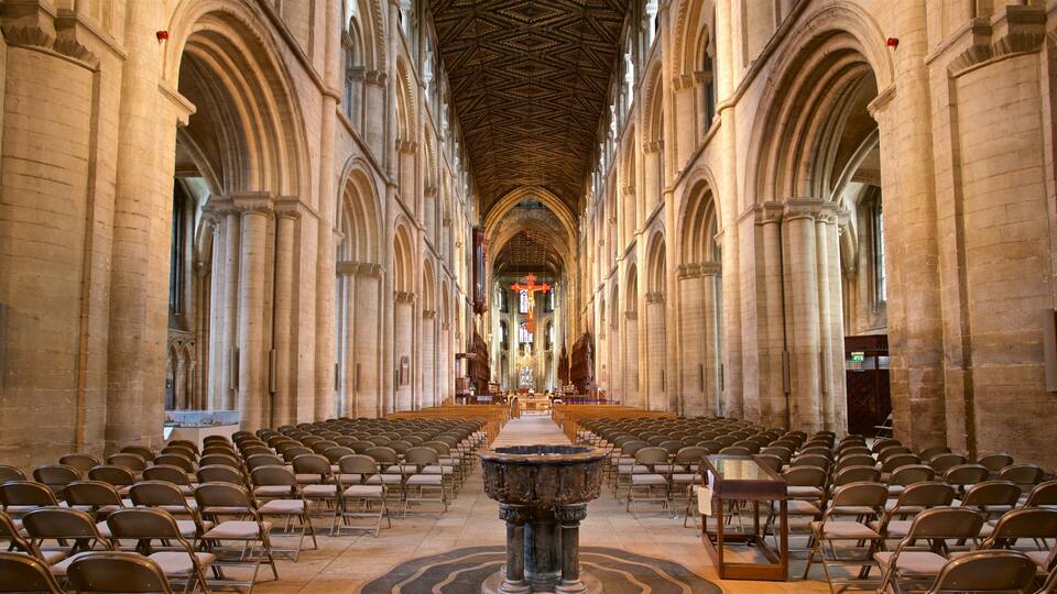 A cathedral interior with rows of pews, arched ceilings, and a central altar.