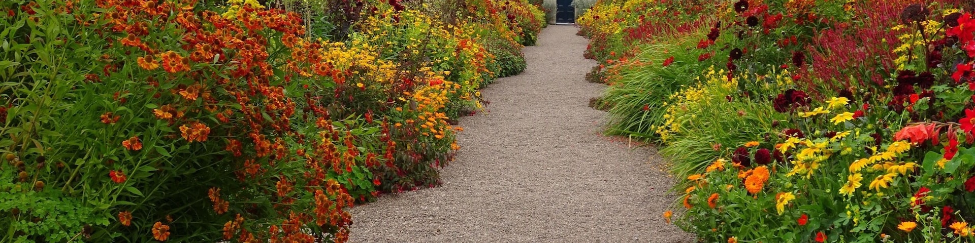 Beautiful 'hot border' in the wonderful walled garden of Floors Castle, Scotland.