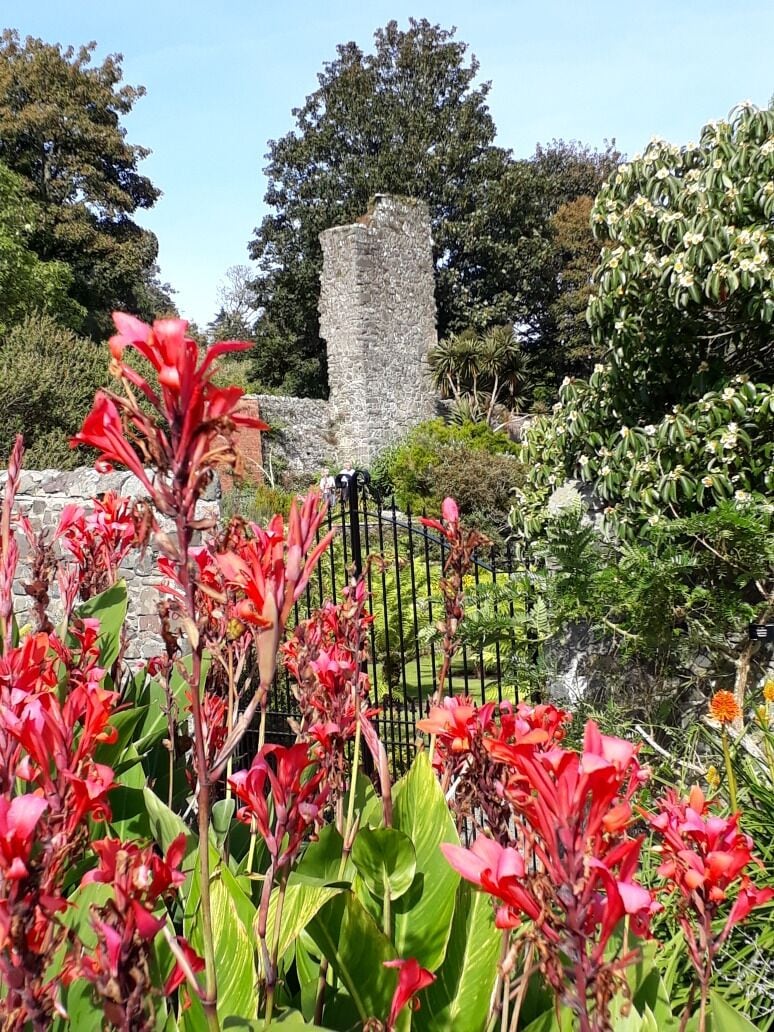 Remains of a castle picturesquely situated in this botanic garden - still some flowers out on a bright warm September day.